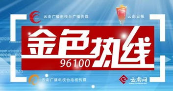 王喜良市長做客金色熱線，共話昆明網絡技術轉讓新機遇